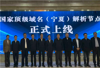 国家顶级域名(宁夏)解析节点正式上线
